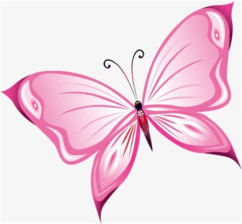 Hand painted pink butterfly PNG and Clipart | Butterfly art, Butterfly