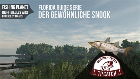 Check spelling or type a new query. Fishing Planet WIKI Florida Guide - Der Gewöhnliche Snook | Deutsch - YouTube