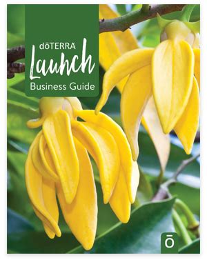 Launch your doterra business right! Launch Your Business | dōTERRA Essential Oils