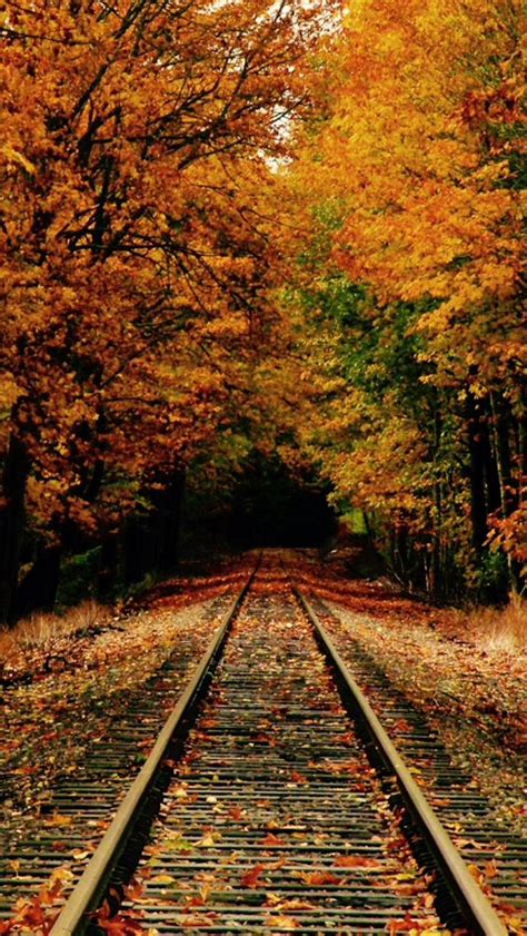 Autumn Tracks To Nowhere Source Scenery Train Tracks