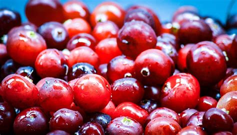Fruta Tipica Dos Estados Unidos