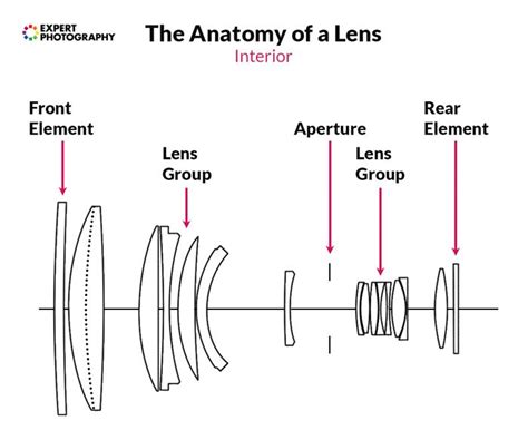 Camera Lens Guide How Lenses Work And 8 Types Explained Fotocamera