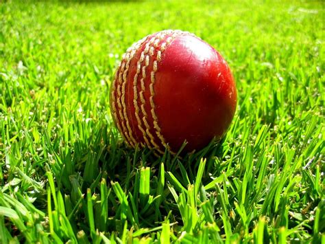 Cricket Full Hd Wallpaper And Background Image 1920x1440 Id442881