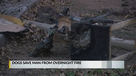 Free fire is one of the most downloaded mobile games in the google play store. Dogs save owner from house fire - YouTube
