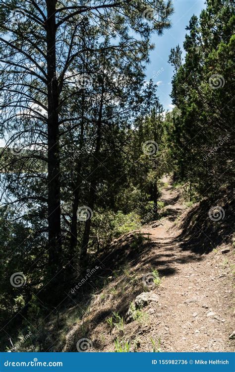 Quemado Lake Nm Stock Photo Image Of Scenic Campers 155982736