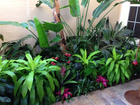 Full and lush tropical entry | Tropical garden, Tropical backyard, Tropical landscaping