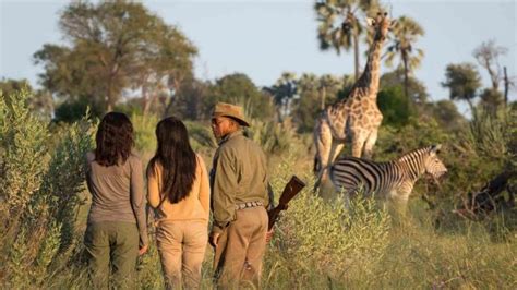 Okavango Wildlife Sanctuaries And National Parks Tour Packages Book Okavango Wildlife Sanctuaries