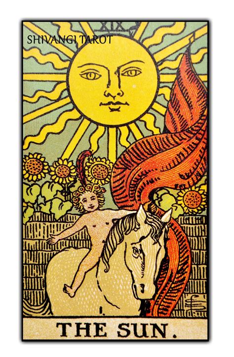 Best Tarot Reader India | The sun tarot card, The sun tarot, Rider