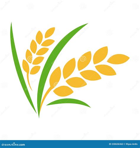 Rice Paddy With Leaf Vector Illustration Isolated On White Background