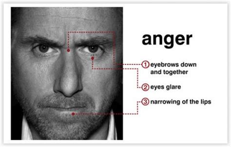 Anger Emotion Appearance Body Language Experts
