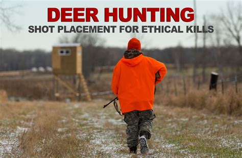 Where To Shoot A Deer Shot Placement For Ethical Kills