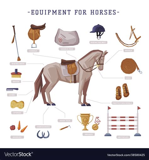 Equipment For Horses Set Horse Riding Essentials Vector Image