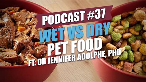 Is wet food bad for cats? TOP #37: Wet vs Dry Pet Food ft. Dr Jennifer Adolphe, PhD ...