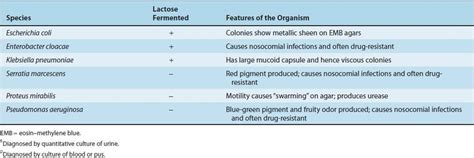 Gram Negative Rods Related To The Enteric Tract Review Of Medical
