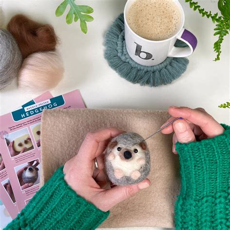 Needle Felted Hedgehog Kit Craft Kits For Adults Student Etsy