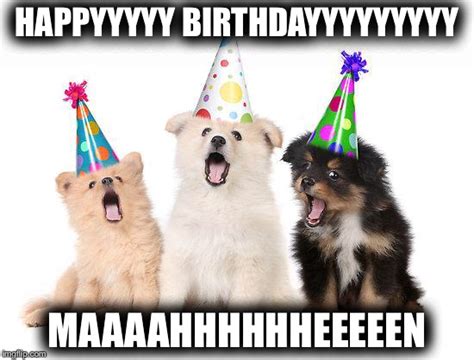 Happy Birthday Puppies Imgflip
