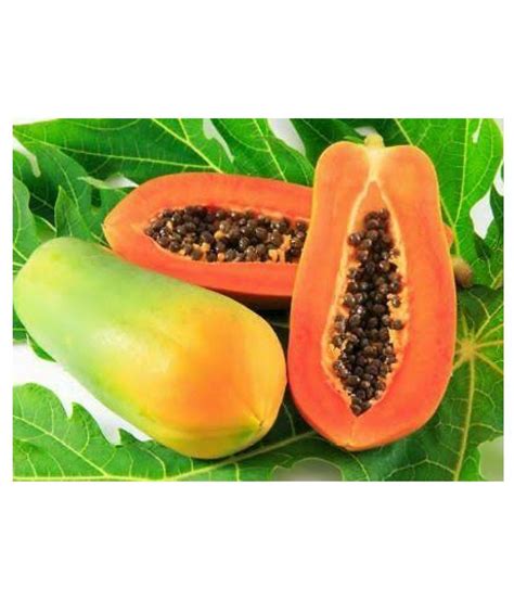 Buy Papaya Seeds Thai Big Red Variety Dwarf Fruit Pack Of 50 Seeds