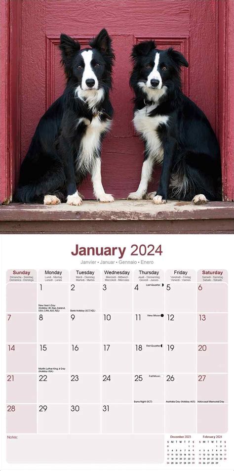 Border Collie Calendar Dog Breed Calendars Pet Prints Inc