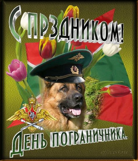 Выберите поздравление с днем пограничника и поздравьте друзей. Открытки с днем пограничника скачать бесплатно | Дарлайк.ру