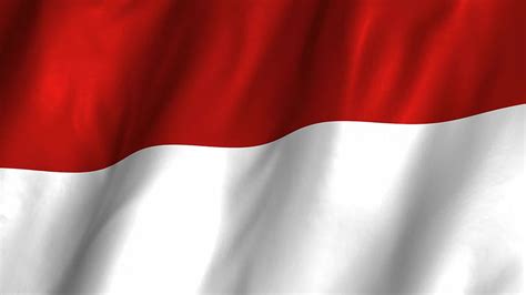 Bendera Indonesia Bendera Indonesia Bendera Merah Wallpaper Hd Pxfuel