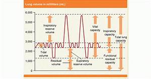 Lung Volumes Capacity Medicoapps Org