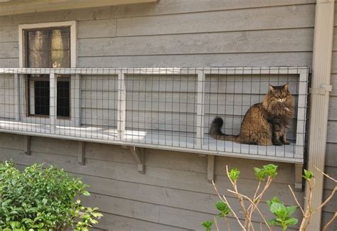A good general rule for the size of an outdoor cat enclosure is two square yards of traversable space. What are some ways to keep my cat from leaving my yard ...