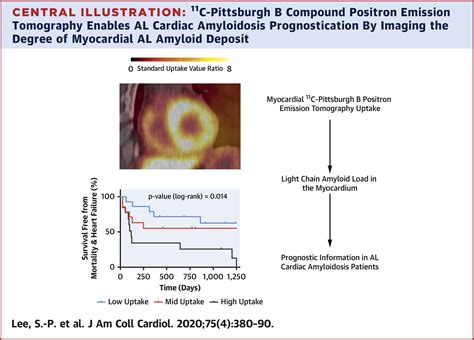 Pittsburgh B Compound Positron Emission Tomography In Patients With Al