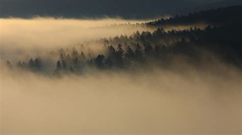 Free Images Tree Nature Forest Mountain Cloud Sky Fog Sunrise