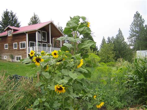 We help farmers relocate to other european welcome to eurofarms, the organization that has been helping farmers relocate to other european. LAND: Certified Organic Farm Land for Lease, Okanagan, BC ...