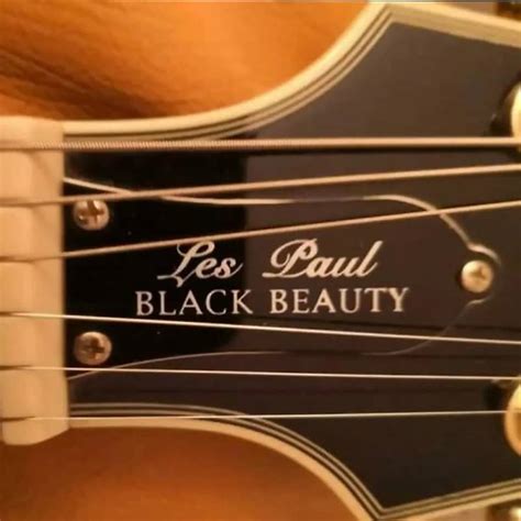 Epiphone Les Paul Black Beauty Truss Rod Cover Plate Reverb