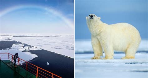 10 Facts You Didnt Know About The Real North Pole Thetravel