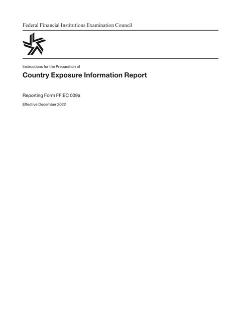 Download Instructions For Form Ffiec009a Country Exposure Information