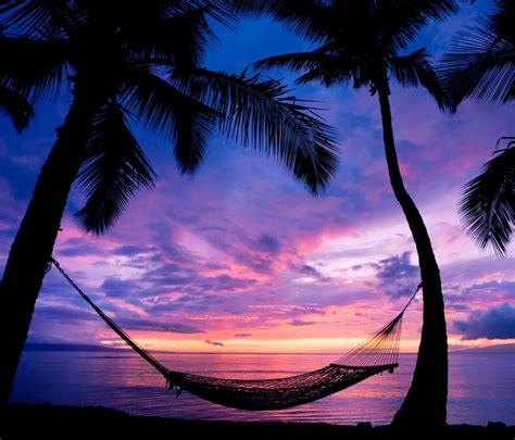 Would Love To Be Swinging In This Hammock Looking At This View