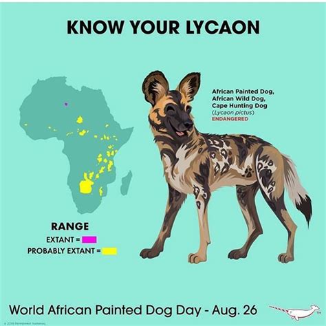 African Wild Dog Names
