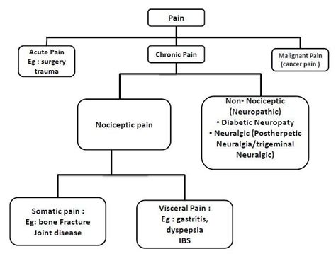 IASP Classification Of Pain