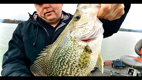 A Bait That Huge Crappie Cant Resist 17 Mega Crappie Catch Youtube