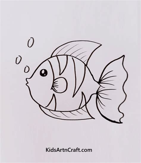Aquatic Animal Drawings For Kids Kids Art And Craft