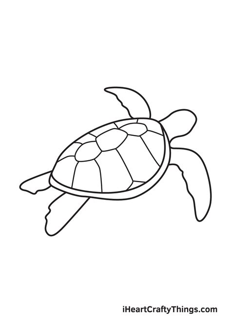 Learn How To Draw A Sea Turtle