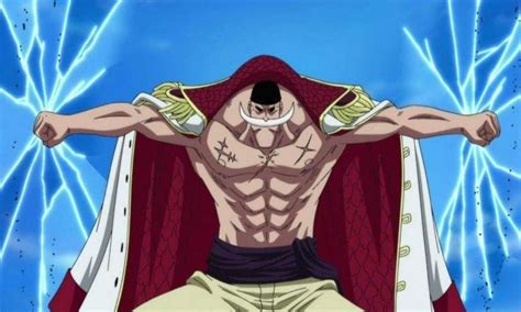 One Piece 10 Strongest Whitebeard Pirates Ranked