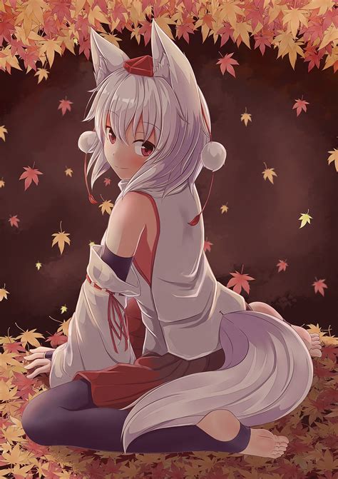 Anime Images Cute Kawaii Anime Wolf Girl