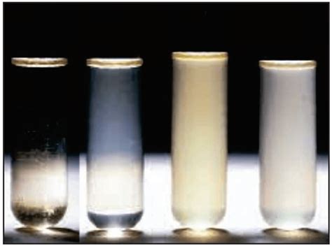 Principles And Methods Of Different Microbiological Assay