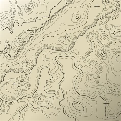 Topographical Map Wall Mural From Happywall Topographic Map Art