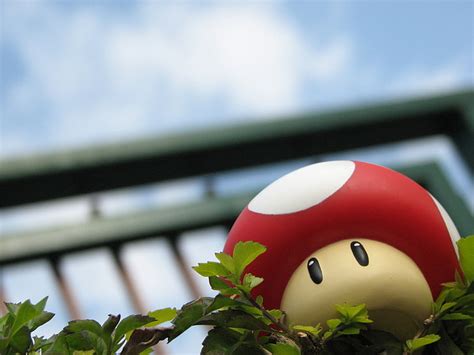 Mario Mushrooms 2272x1704 Video Games Mario Hd Art Mushrooms Mario