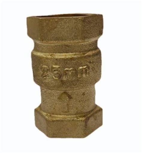 25mm Brass Vertical Check Valve At Rs 250piece Brass Check Valve In
