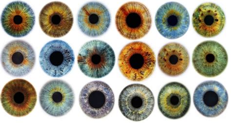 Culoarea Ochilor Si Alte Secrete Ale Irisului Deștepțiro
