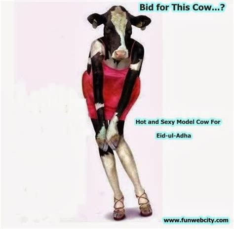 Hot And Sexy Model Cow For Eid Ul Adha