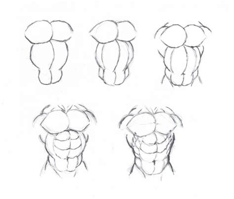 At least since michelangelo, serious artists of the genre have known the value of a clinical study of anatomy. Draw muscle torso by krigg | Drawing reference, Drawings, Guy drawing