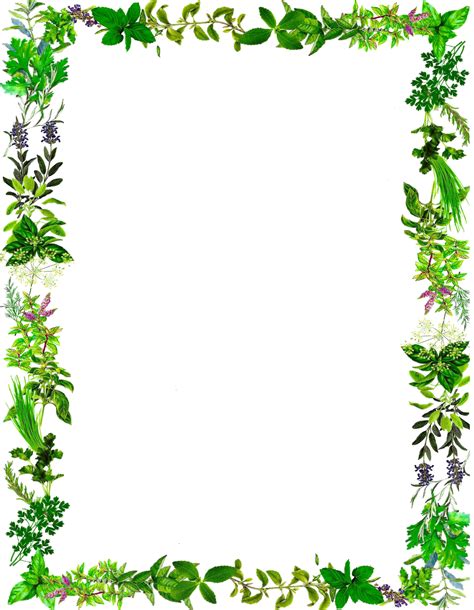 Herbs Clipart Border Pictures On Cliparts Pub 2020 🔝