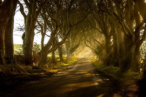 Magical Places In Ireland That Are Straight Out Of A Fairy Tale