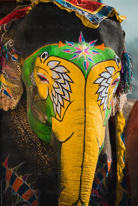 Decorated Indian Elephant By Stocksy Contributor Alexander